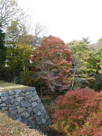 観心寺～高取城 035