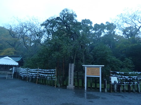 2010箱根伊豆 142