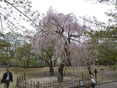 2011甲信 090