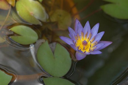 09年ティナ