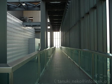111101-ミッドランド展望台 (27)