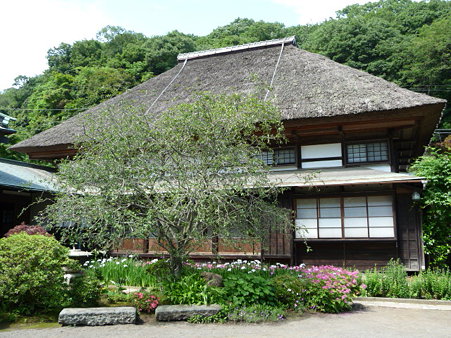 090612-海蔵寺 (17)