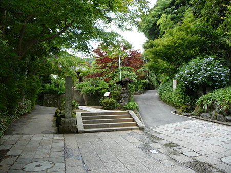 090612-海蔵寺