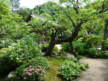 090612-海蔵寺 (29)