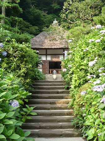 090625-明月院 (93)
