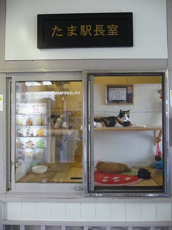 090828-貴志駅とたま駅長 (1)