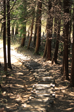 竹田城跡
