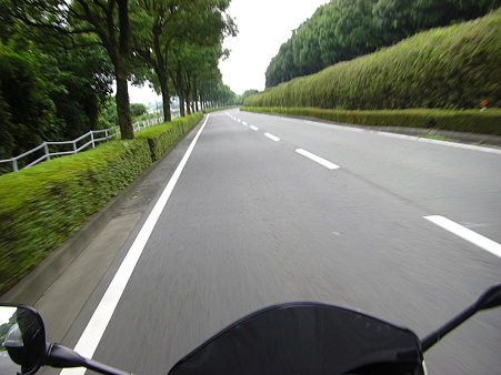 帰りの県道