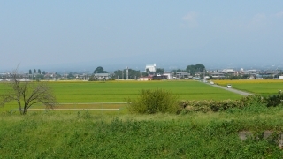 見えてきた