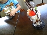 DVC00006