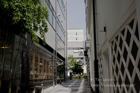 NEX-5 FD28 F2.8