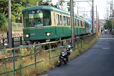 ｺｽﾓｽｰ1