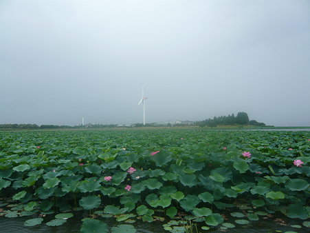 (1)m 001