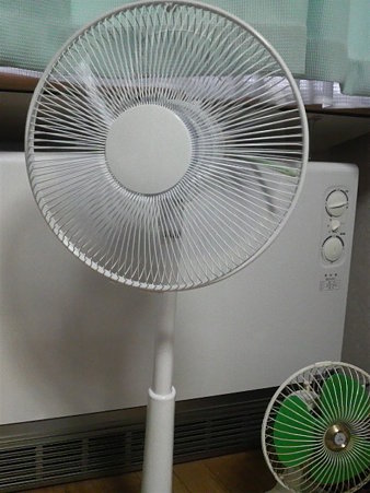 P1001066