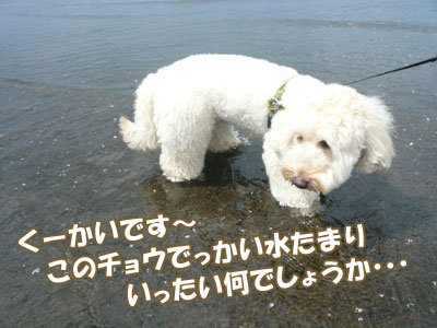 くーかい 山中湖へ行く
