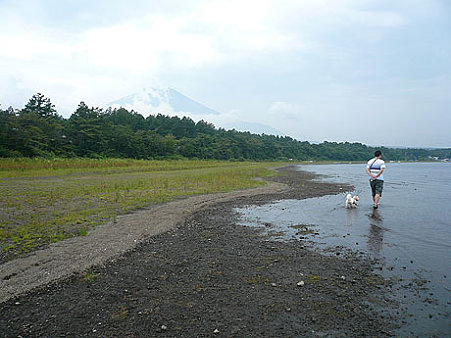 山中湖から見る富士
