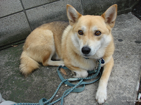 DSC02130