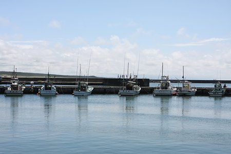 2009.08.14　山形　漁港の夏