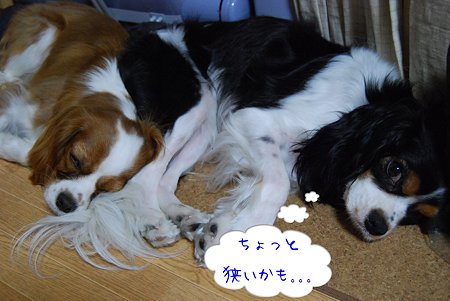 狭いなぁ・・・