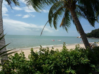P1020858 P1020858