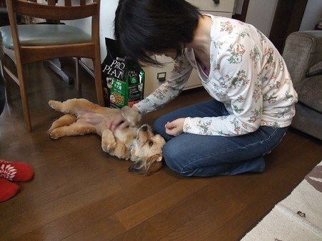 お腹見せてごろん~~披露