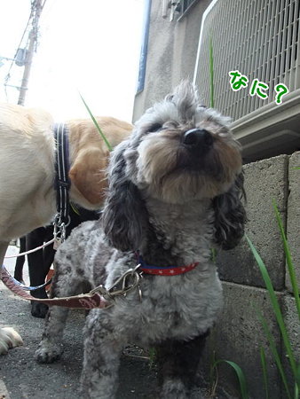 食ってないですることしなさい!
