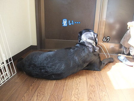 暑い
