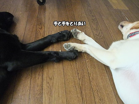 手と手をとりあい