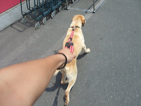 むっちゃ引っ張る~~~