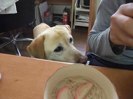 美味しそう・・・