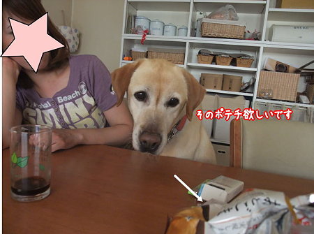 ポテチ