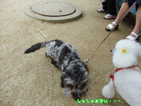 進めない