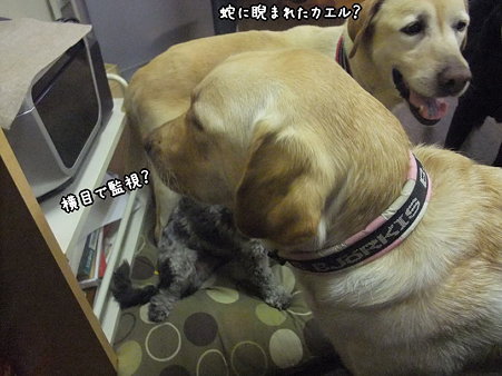 三角関係