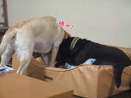 返せ