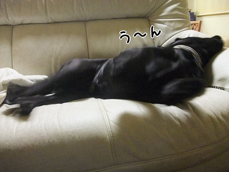 う~ん