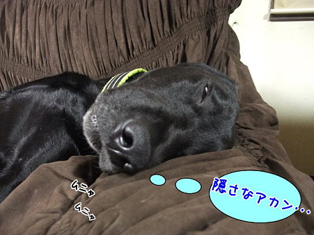 寝言1