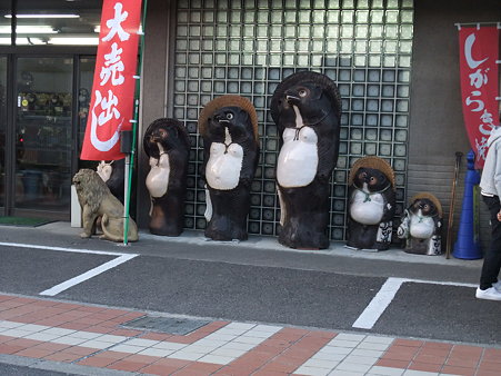 信楽焼きのタヌキ