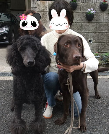 本当の家族が出来ました