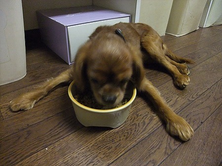 悠大の食べ方