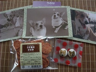 2009_0627頂き物0007