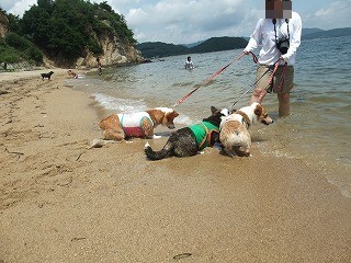 2009_08030077