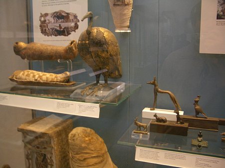 IMGP7783