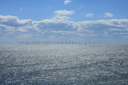 DPP_1567