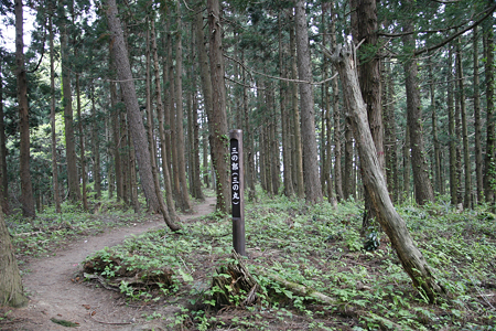 与板城 - 16
