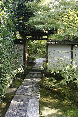 金福寺 - 12