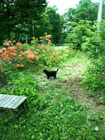 photo 9.9.08 3418