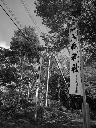 photo 9.9.08 1290