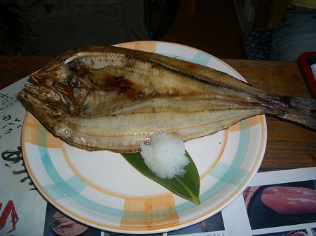 IMGP5495