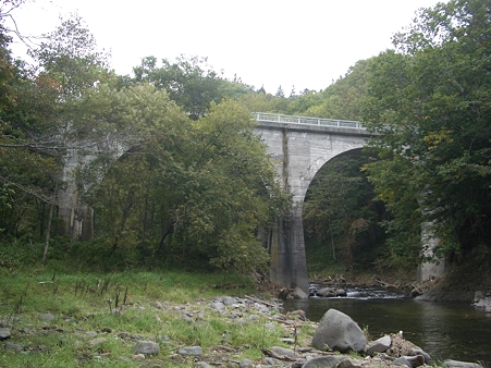 IMGP5541