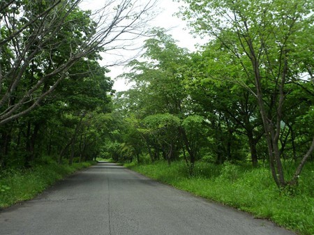 DSCN3040